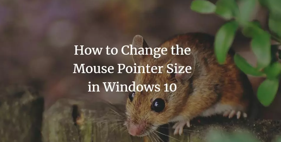 Change Mouse Pointer Size
