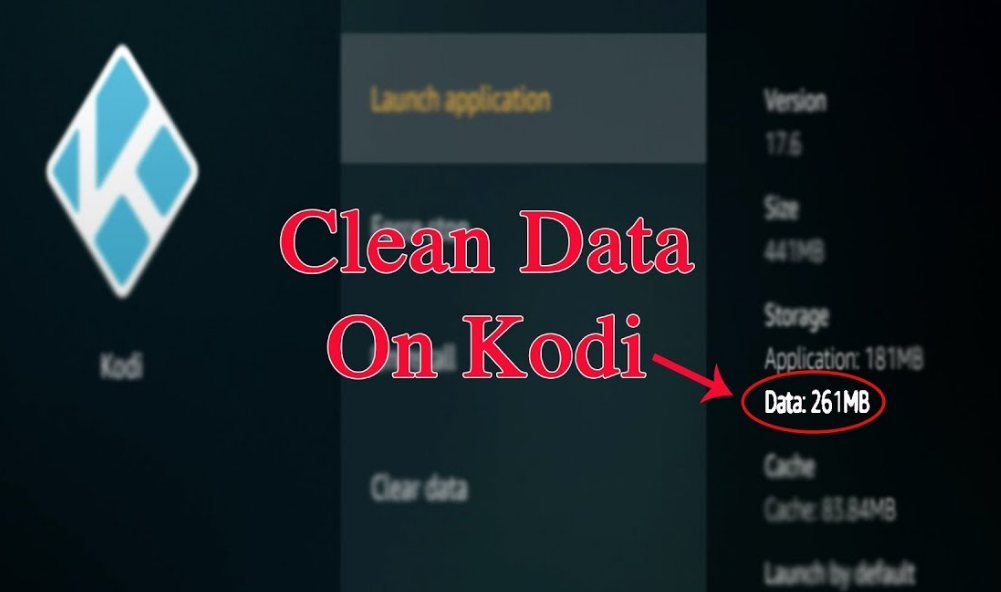  Clean Up Kodi With Rock Cleaner