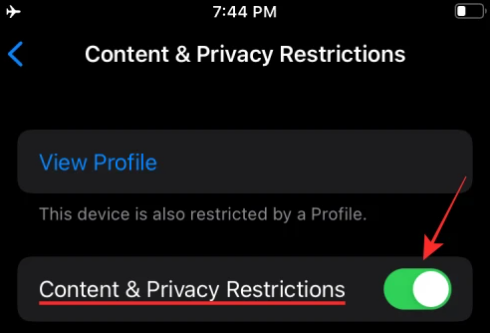 Restrictions on iPad